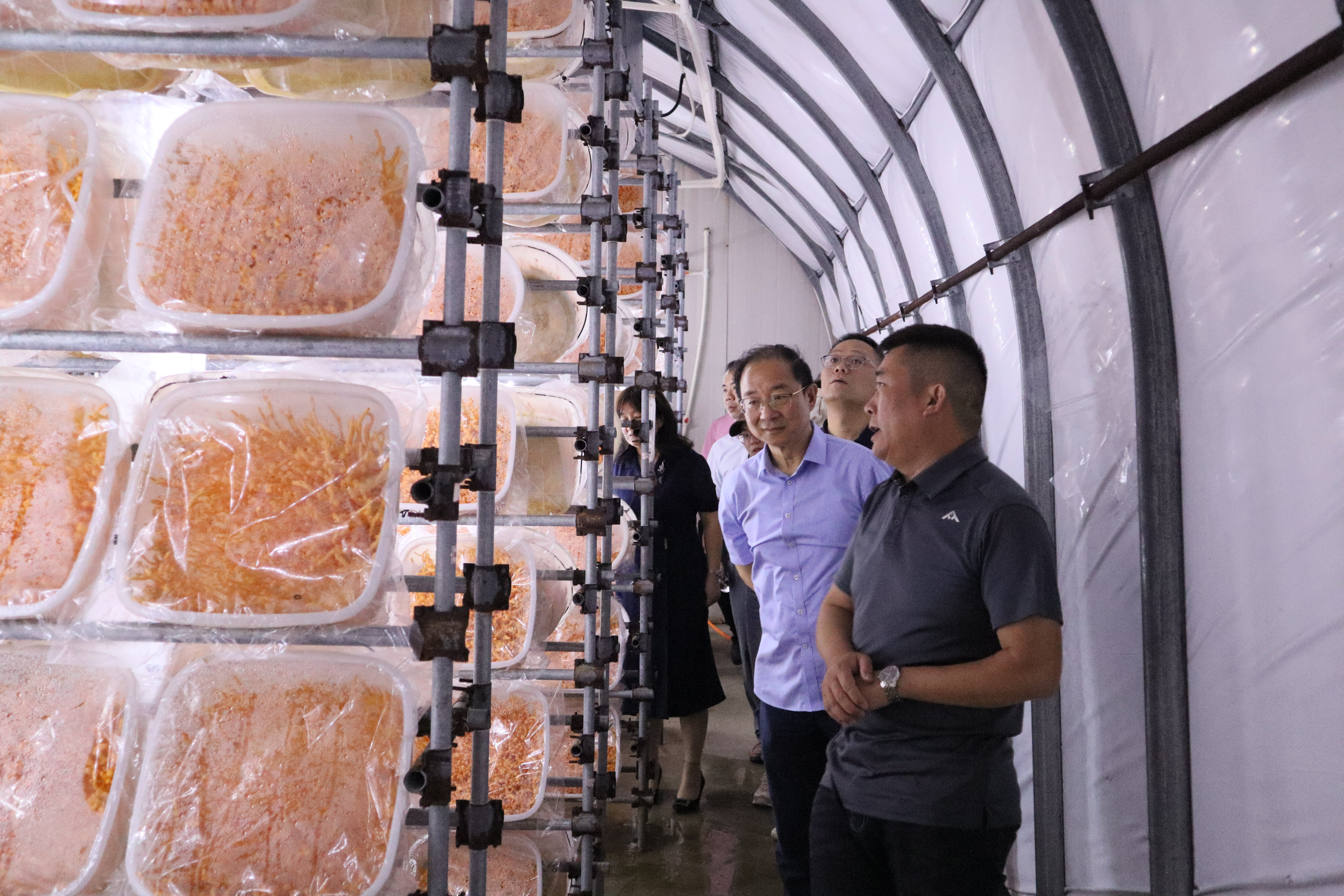 调研组在太和县百麓现代农业科技有限公司调研智能育菇